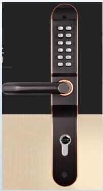 Black keypad gate lock with lever handle